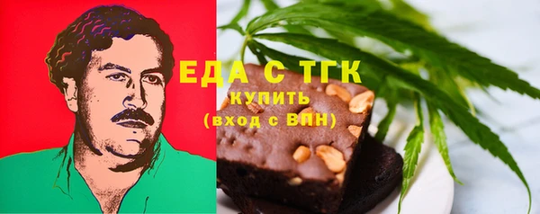амф Каменка