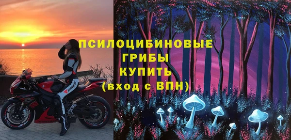 молекула духа Каменногорск