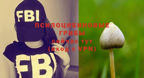 ALPHA PVP Каменск-Шахтинский