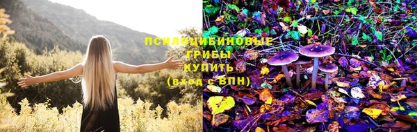 молекула духа Каменногорск