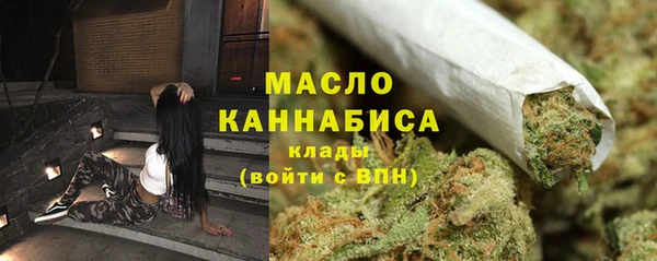 амф Каменка