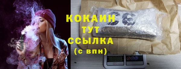 амф Каменка