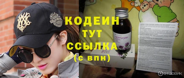 амф Каменка