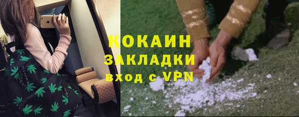 молекула духа Каменногорск