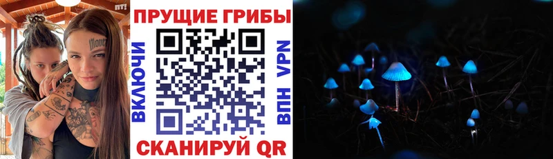 Купить где  Ивантеевка  Галлюциногенные грибы мицелий 